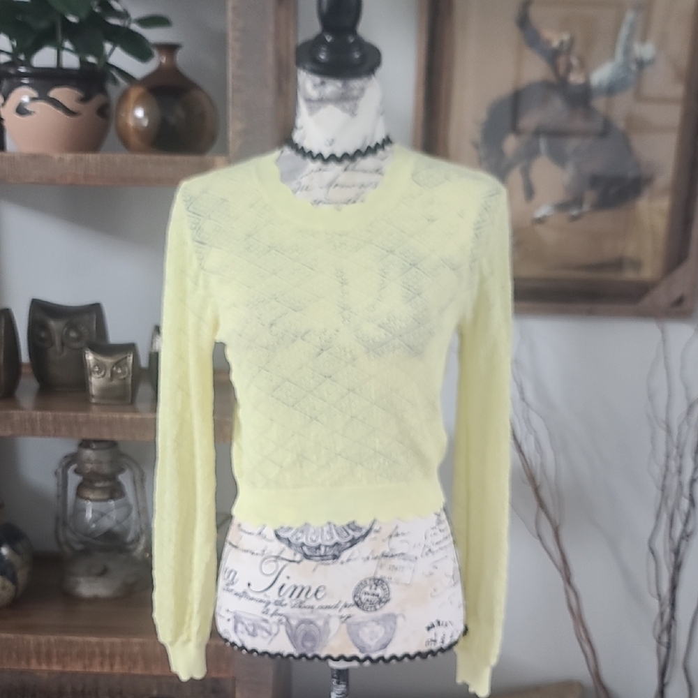 Zara Light Yellow Knit Crewneck Sweater With Scallop Neck Cuf And Hem